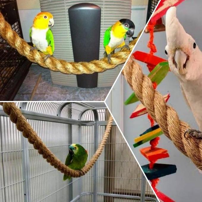 Mainan ayunan tali serat natural burung parrot falk sunconure lovebird