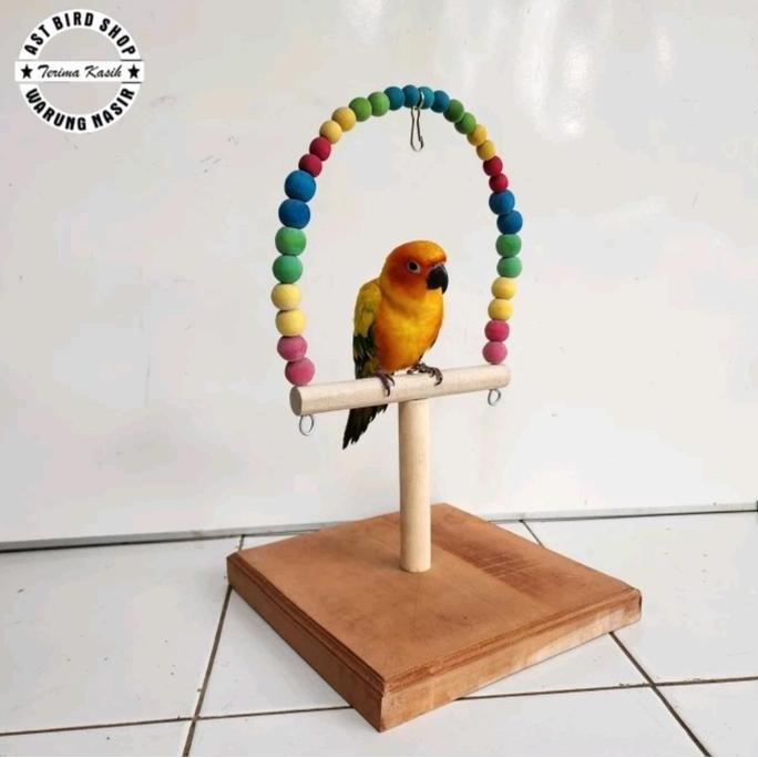 Stand tangkringan burung sunconure cockatiel