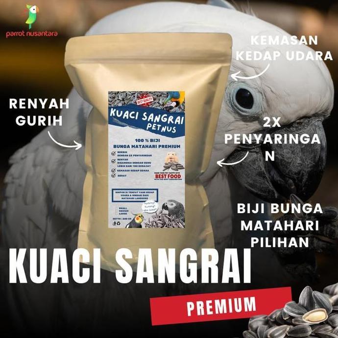 KUACI KWACI SANGRAI BURUNG PARROT MURAH GROSIR