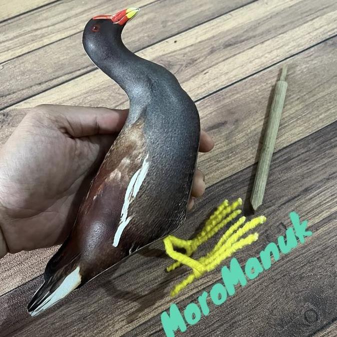Jontrot Burung Mandar - Decoy Mandar Batu - alat pikat burung mandar