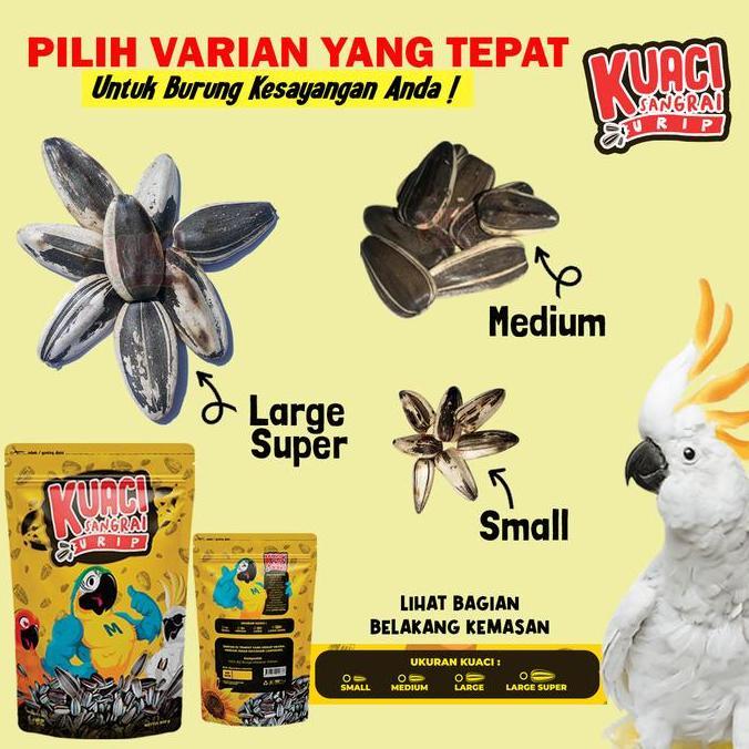 KUACI SANGRAI SUPER JUMBO UNTUK BURUNG KAKATUA MACAW AFGREY AMAZON