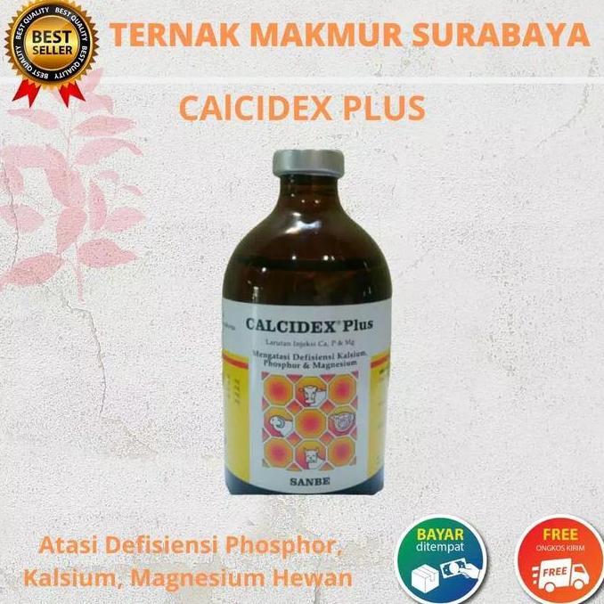 CALCIDEX PLUS 100ML