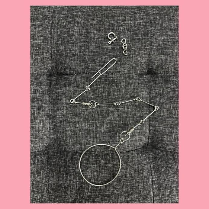 R06 Rantai Rante Burung Kakatua Afgrey Jambul Kuning Galah Severe