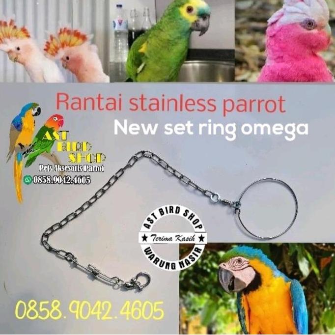 Rantai stainless kaki burung macaw set ring omega