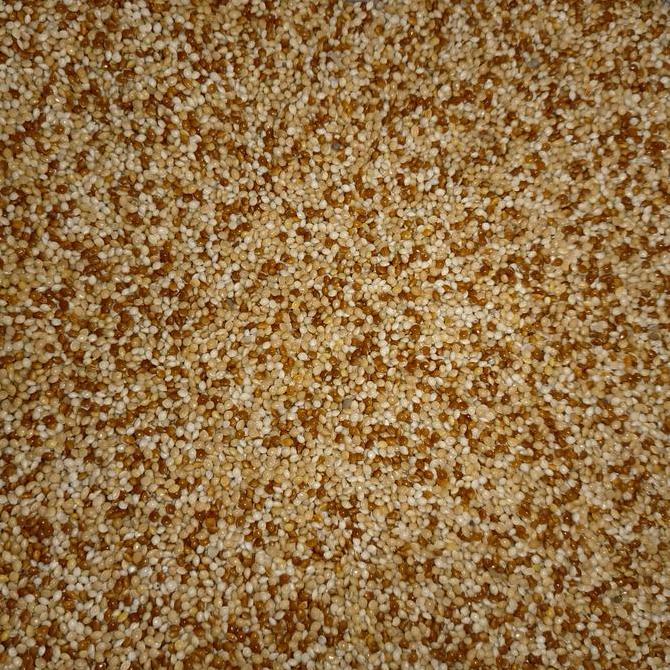 Milet putih campur milet merah 25kg - pakan lovebird
