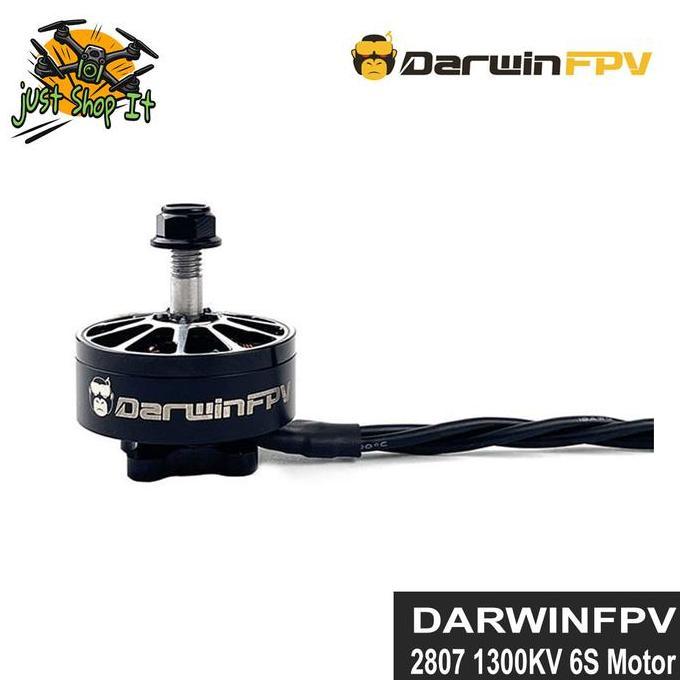 TERLARIS DARWINFPV 2807 1350KV 6S 5MM BRUSHLESS MOTOR FOR FPV DRONE
