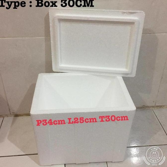 Styrofoam Box/Stereofoam box 30CM/box es krim