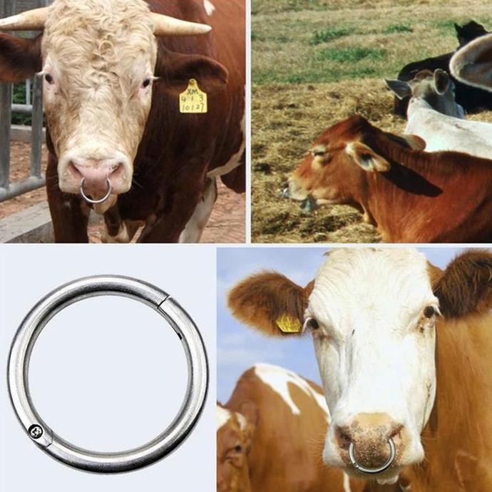 Nose Ring Cincin Anting Hidung Sapi Kerbau Stainless Steel Bull Ring