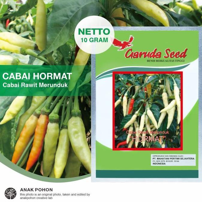 (1 PACK) Benih Cabai Rawit Merunduk HORMAT Cabe Rawit Setan Pedas F1