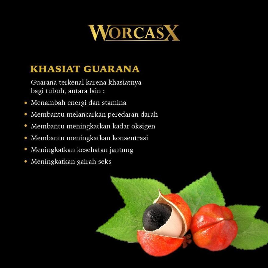 Kopi Worcasx Coffee 1 Sachet Kopi Stamina Pria Dengan Ekstrak Ginseng Original Bpom