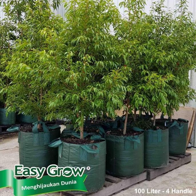 Planter Bag Easy Grow 100 Liter