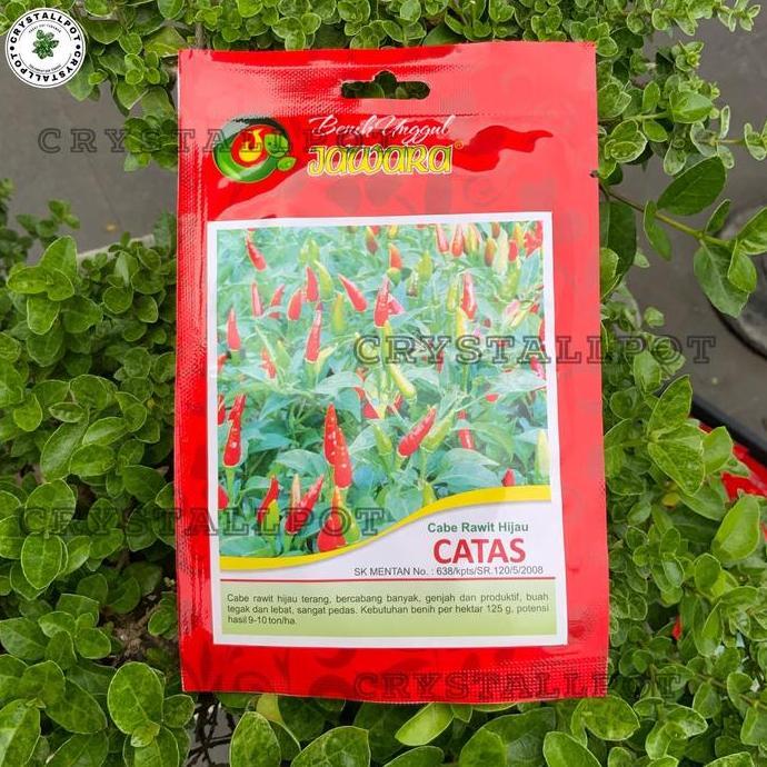 Benih Bibit Cabe Rawit Hijau Benih Unggul Jawara - CABE RAWIT CATAS