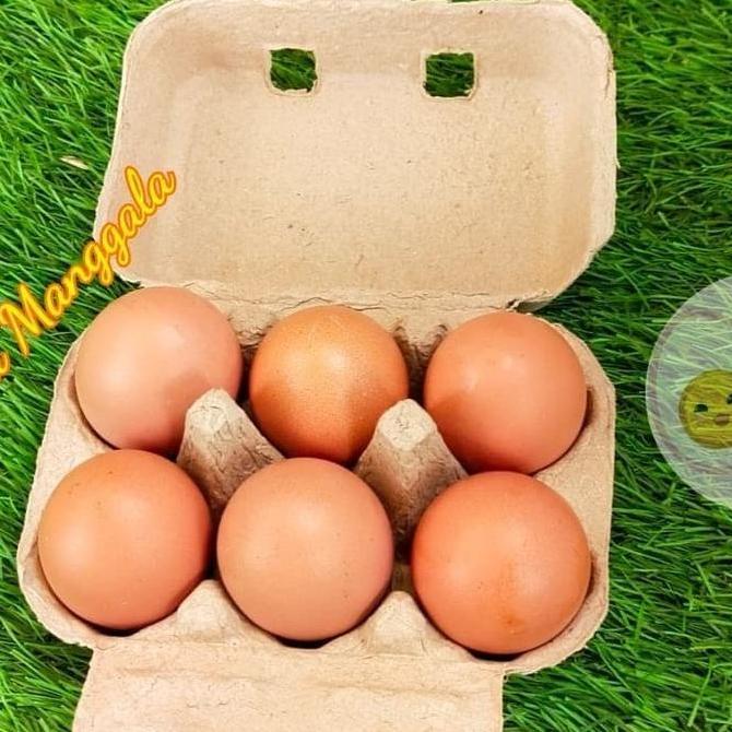 PAPER EGG 6 LUBANG / BOX TELUR KARTON 50 PCS IS