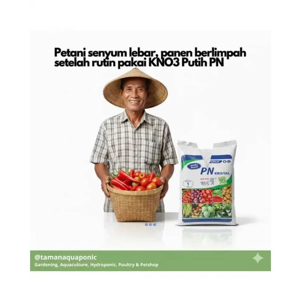 Pn Kristal Kno3 Pupuk - Putih [1 Kg]