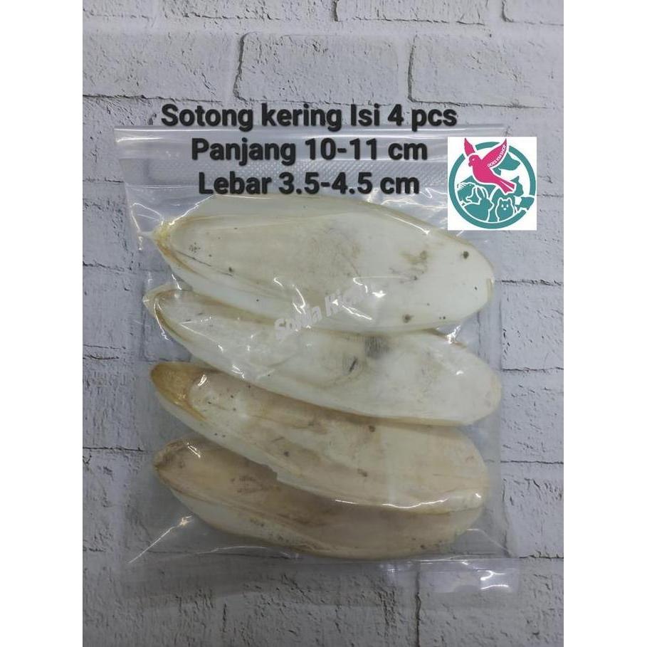 Min.5 Pcs Tulang Sotong Kering Isi 4 Pcs Mengandung Calcium Untuk Burung Dan Hewan Lainnya.