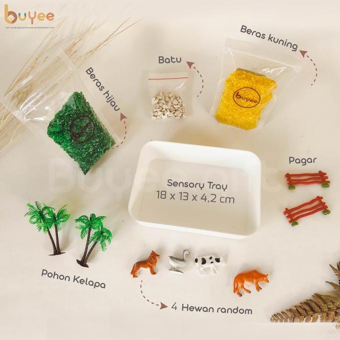 BUYEE GIFT - SENSORY PLAY | Sensory Bin hewan | Mainan Montessori Beras dan Hewan