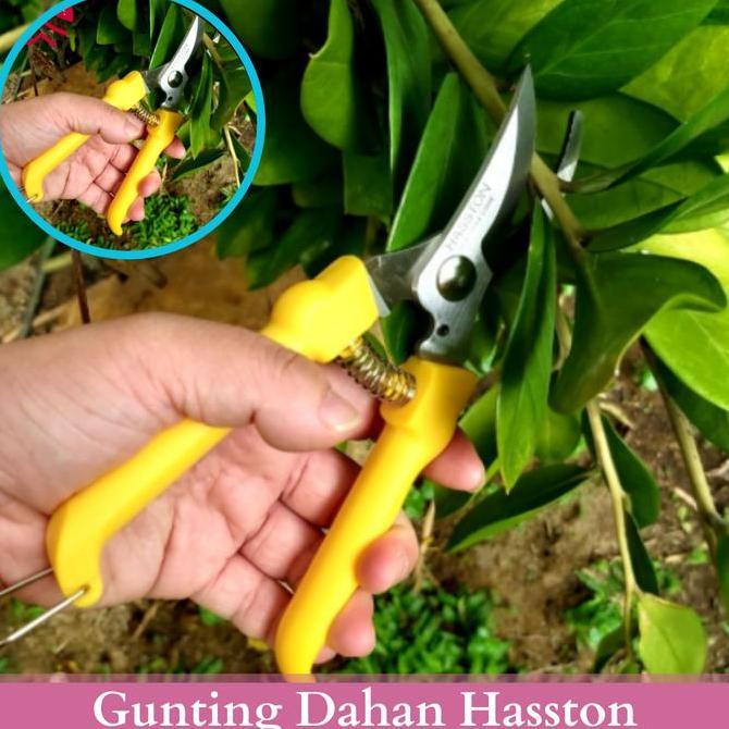 RAJA INDO Gunting Dahan Ranting Tanaman Pohon Tinggi Gunting Dahan Haston