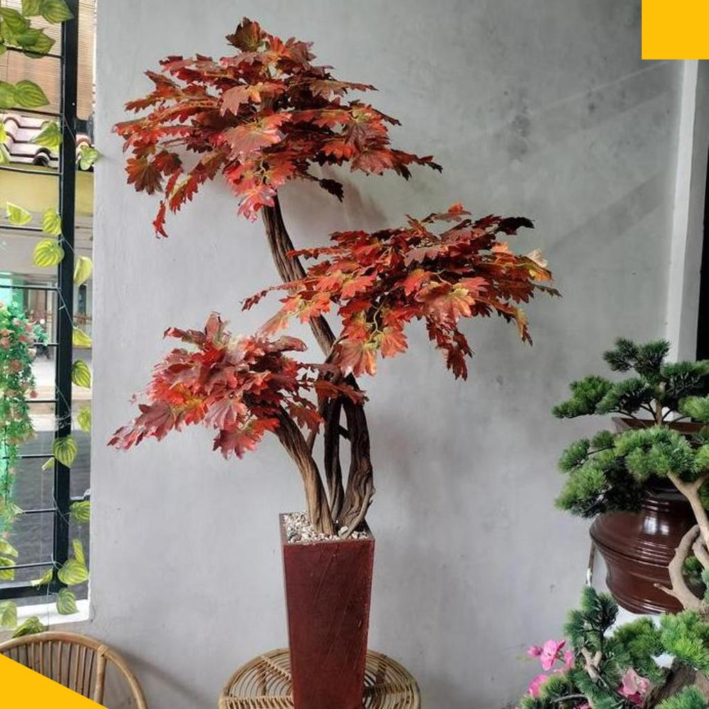 Pohon Maple Artificial - Pohon Maple Tinggi 170 Cm - Pohon Maple Coklat