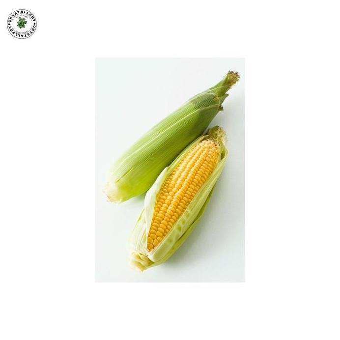 Benih Bibit Jagung Manis NB Super F1 Cap Panah Merah - JAGUNG MANIS NB SUPER F1 EAST WEST SEED