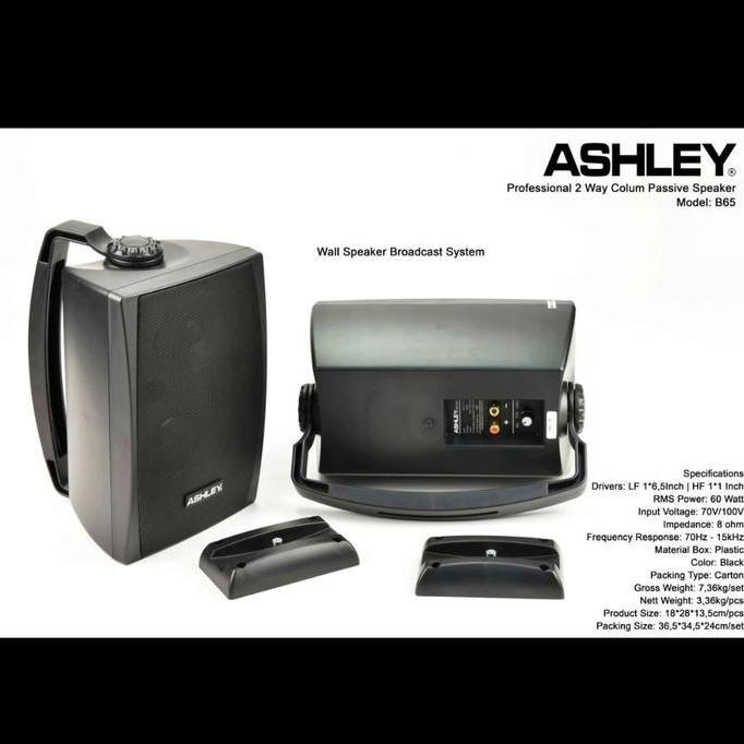 TERLARIS SPEAKER ASHLEY B65 6 INCH PASIF SPEAKER GARANSI ORINAL