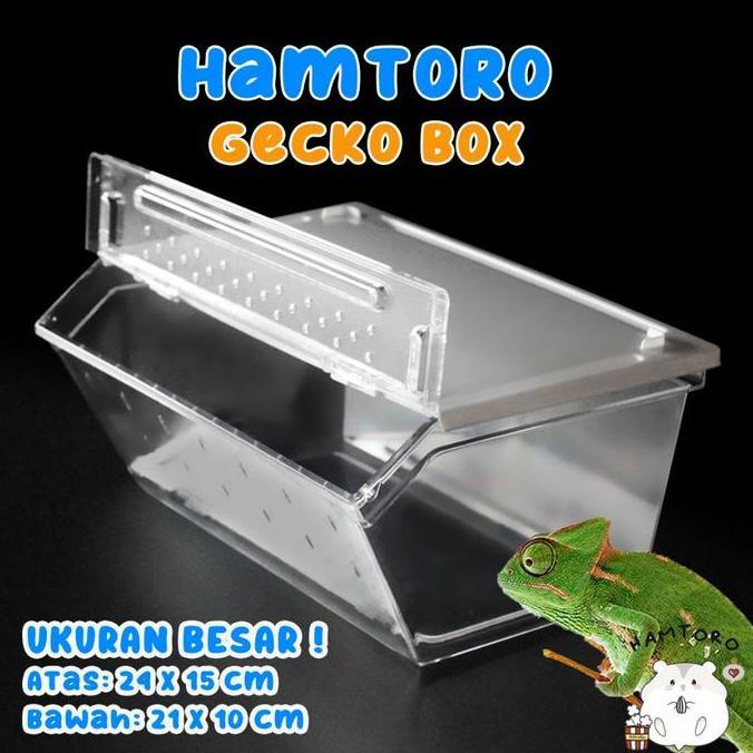 alwibarkah - hamtoro gecko box h8 kandang besar untuk kadal, kura-kura, reptil box  hamster