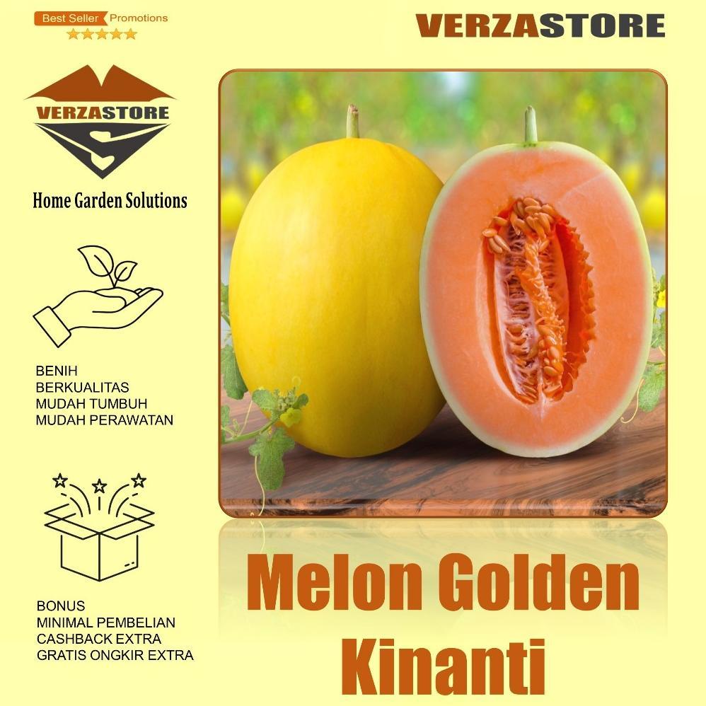 Promo Cod Biji Benih Buah Melon Golden Orange Kinanti Original /5 Biji ><