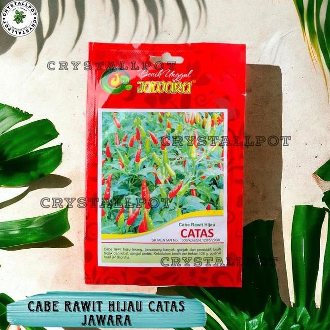 Benih Bibit Cabe Rawit Hijau Benih Unggul Jawara - CABE RAWIT CATAS