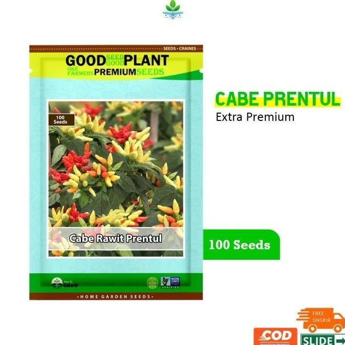 Extra Premium - 100 Biji Benih Bibit Cabe Rawit Putih Setan Prentul F1