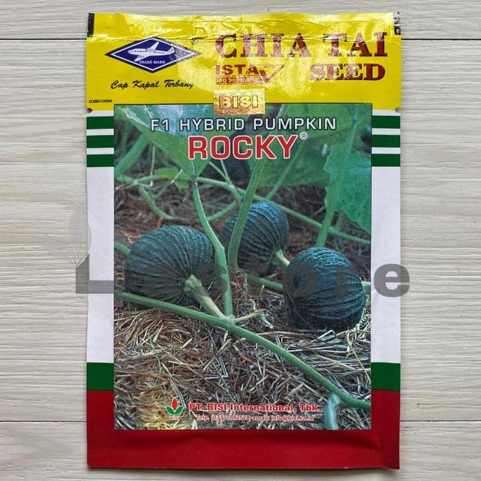 Benih Labu Waluh ROCKY F1 Isi 5 gram Cap Kapal Terbang