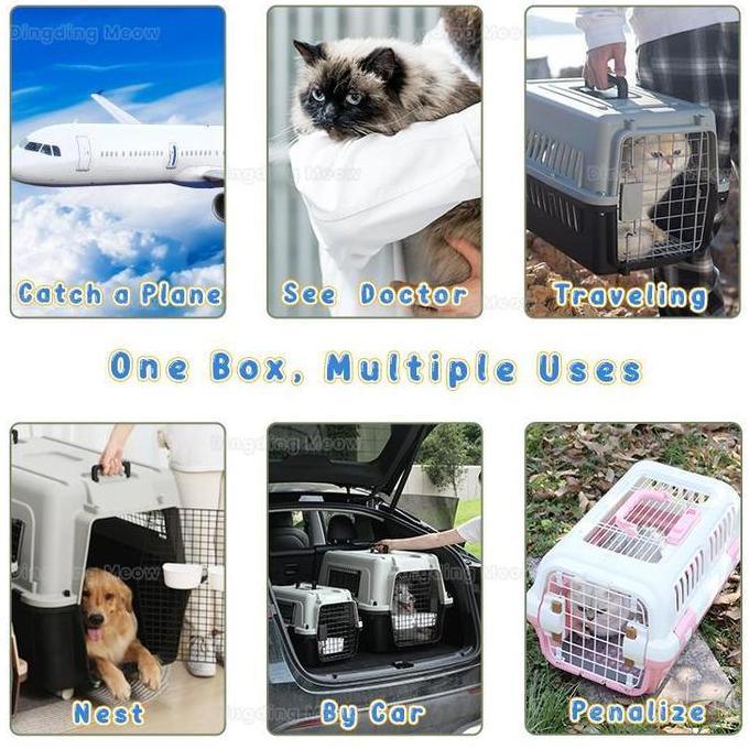Pet Carrier Pet Cargo Kucing Jumbo Dapat Membuka Sunroof Tas Cargo Kucing Anjing