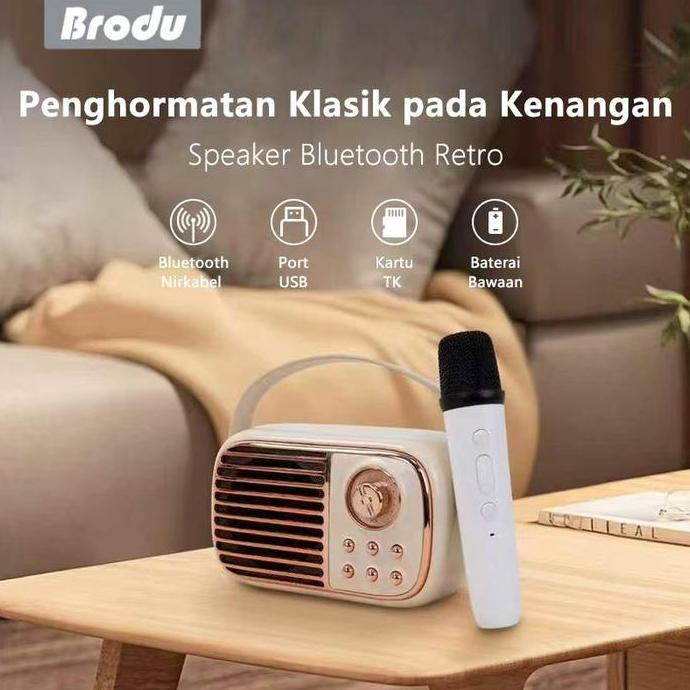 Sale Speaker Portable Brodu Bts-1956 Stylish Dengan Handle Kulit, Bass Max, Mic Nirkabel Untuk Karao