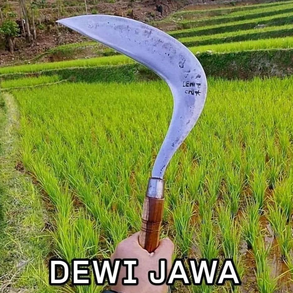 Ready Arit Rumput Baja Per Dewi Bintang Model Jawa | Gagang Sonokeling | Tajam Siap Pakai | Arit Rum