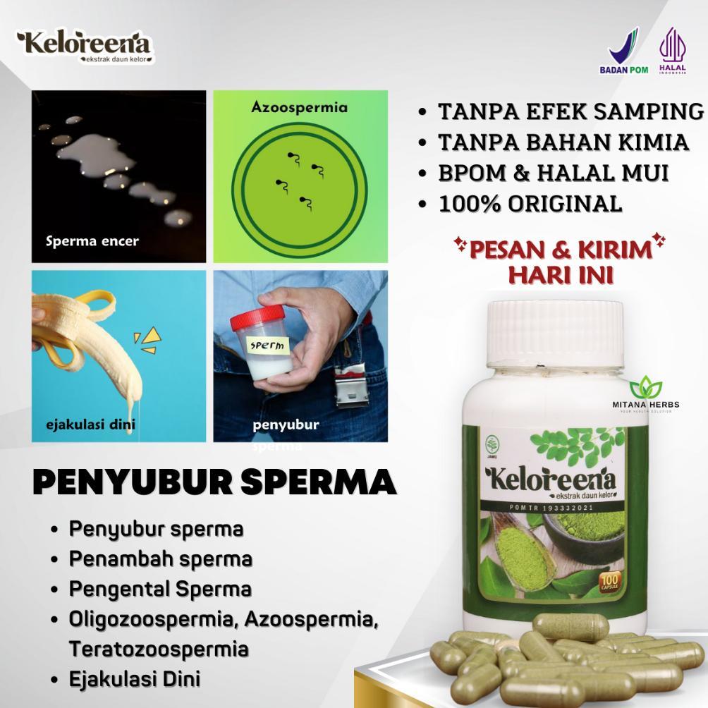 (Terbaru) Penyubur Sperma Pria - Penambah Sperma Pria - Obat Sperma Encer Promil - Pengental Sperma 