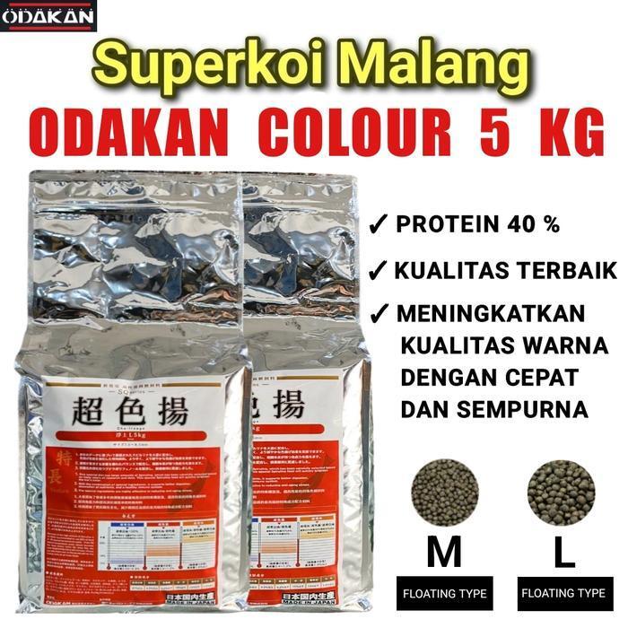 Odakan Colour Merah Warna Pakan Koi Show Import -Warna M || L