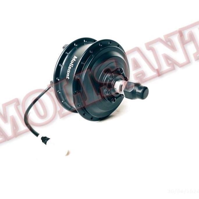 Dinamo Bldc 350W 36/48V Front Hub Planetary Ebike Sepeda Listrik