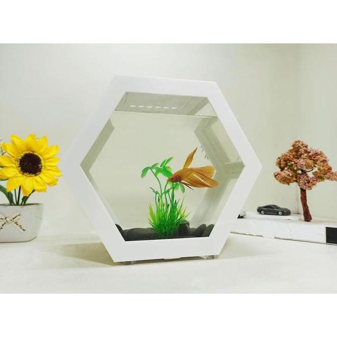 aquarium segilima, aquarium dinding, aquarium unik, aquarium gantung