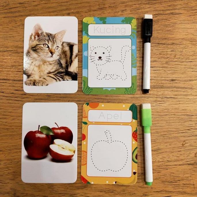 Flashcards WIPE CLEAN Belajar Menggambar Hewan dan Buah Mainan Edukasi