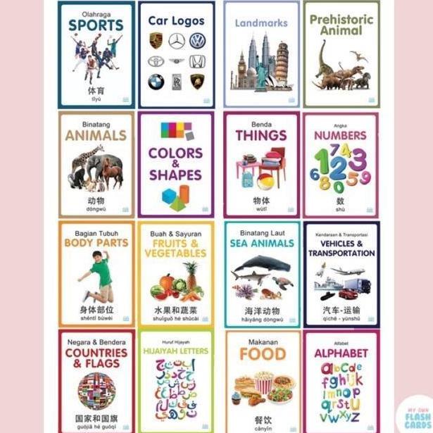 My Own Flashcards 3 bahasa / Flash Card Animal, Body Parts, Kartu Pintar Mainan Edukasi Flashcard An