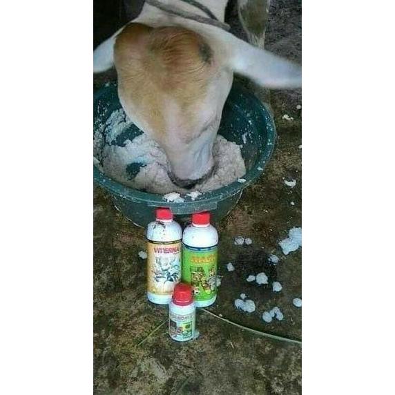 Paket Penggemukan Sapi/Vitamin Sapi/Vitamin Domba/Agen Nasa Jakarta 1