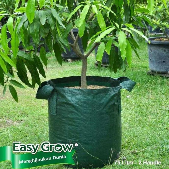 Promo Cod Planter Bag Easy Grow Size 11L, 18L, 25L, 28L, 35L, 50L, 75L, 100L, 200L ><