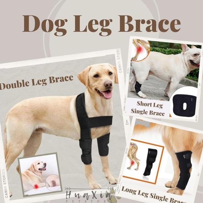 Dog Leg Brace  Recovery Bandage Perban Pemulihan Kaki Anjing PET Medical Equipment Peralatan Medis
