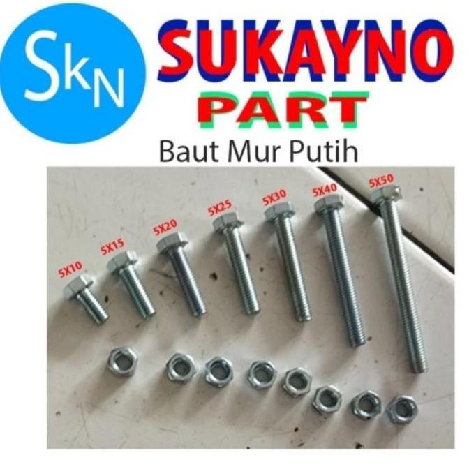 BAUT+ MUR GALVANIS, BMP M6X20, ISI 100,KUNCI 10 TERBATAS