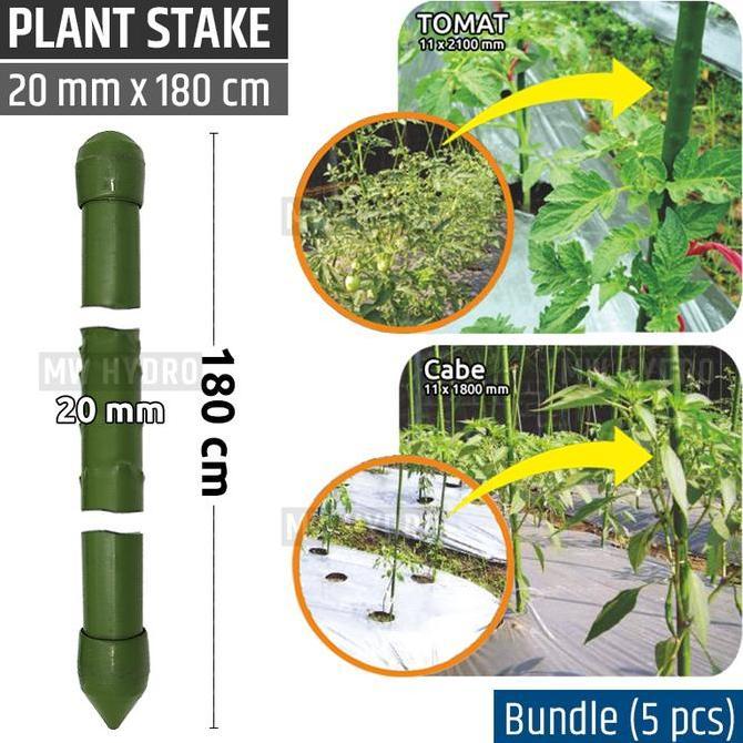 TERLARIS - 5 pcs Plant Stake / Ajir Tanaman - TAKIRON - 20 mm x 180 cm