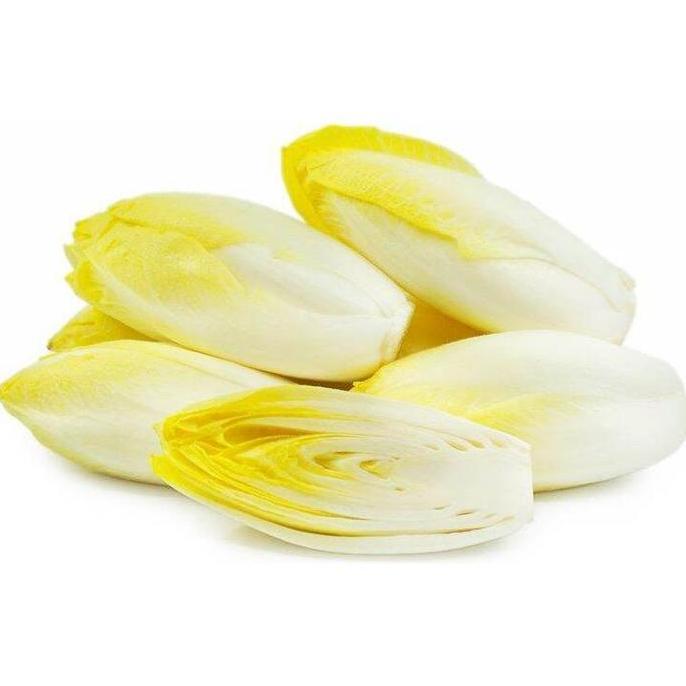 Huayuan- Biji Benih Sayuran Belgian Endive