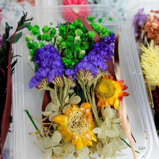 Fiore- Saf 1 Paket Box Bunga Kering Import L Bunga Kering Rna Rni | Properti Foto Produk Aesthetic |