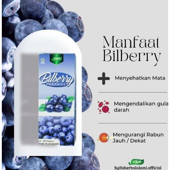 Lansungkirim- Ekstrak Bilberry Cv. Syifa Herbal Alami - Vitamin Kesehatan Mata (60 Kapsul)