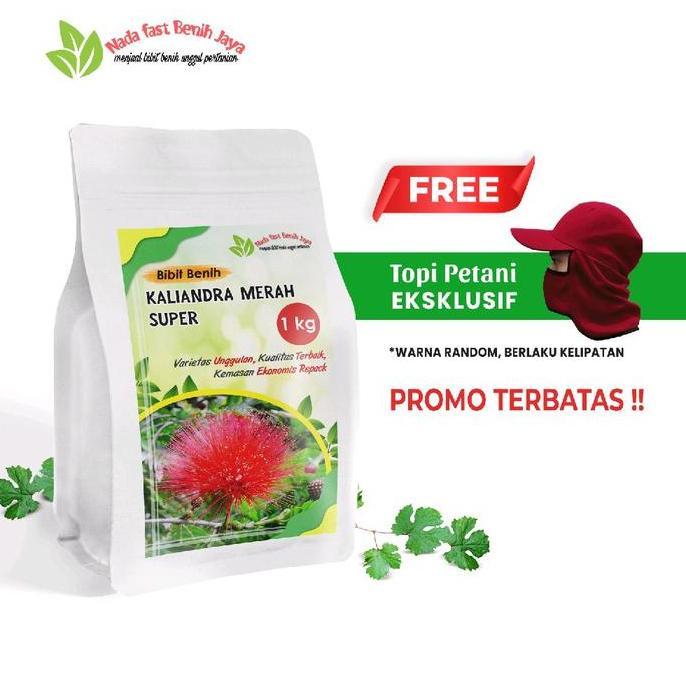 1 Kg Benih biji kaliandra merah super / bibit benih kaliandra benih Tanaman