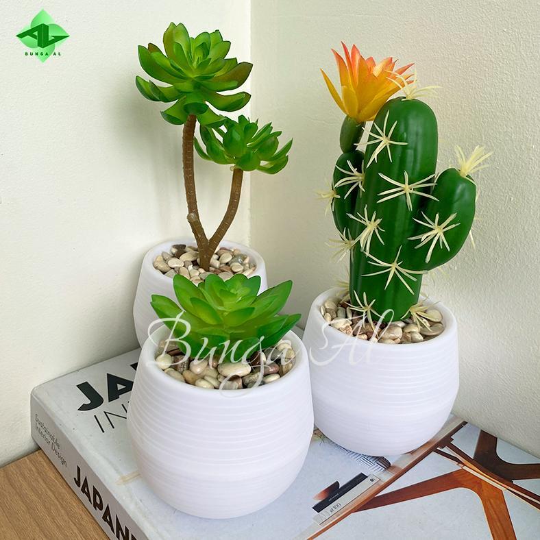 New Deals Rangkaian Kaktus Sukulen Mini Pot Bulat Tanaman Artificial Hiasan Meja Rumah Kantor Cafe K