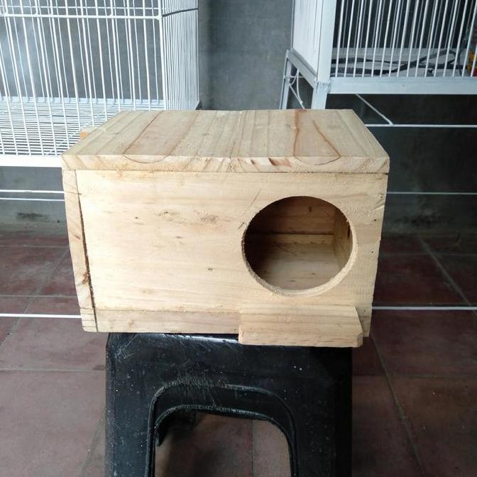 NEW KOTAK TELUR,BURUNG PAROT, SUNCONURE, FALK, NURI, DLL ORI