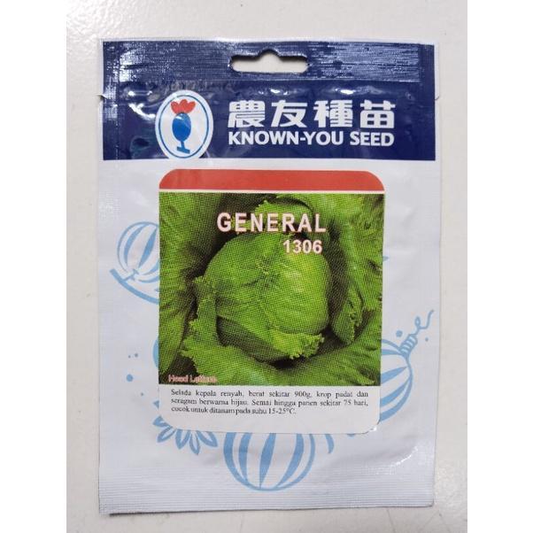 Benih Selada/Head Lettuce Georgia /General 10Gr Original Known You Seed